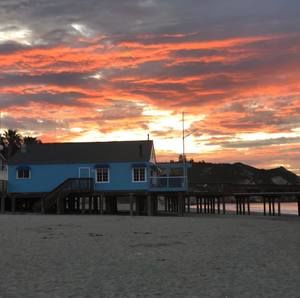 Meet your Posher, Leila